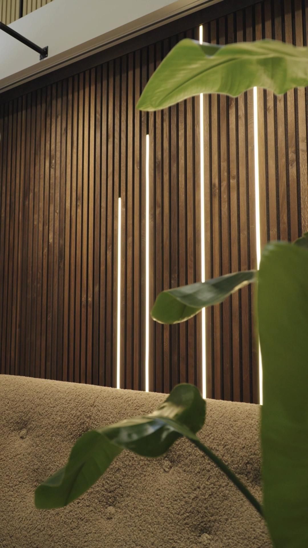 Bosch Home Appliances: Discover the Range
